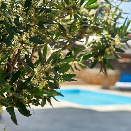 Helios Dream With Private Pool Apartment *